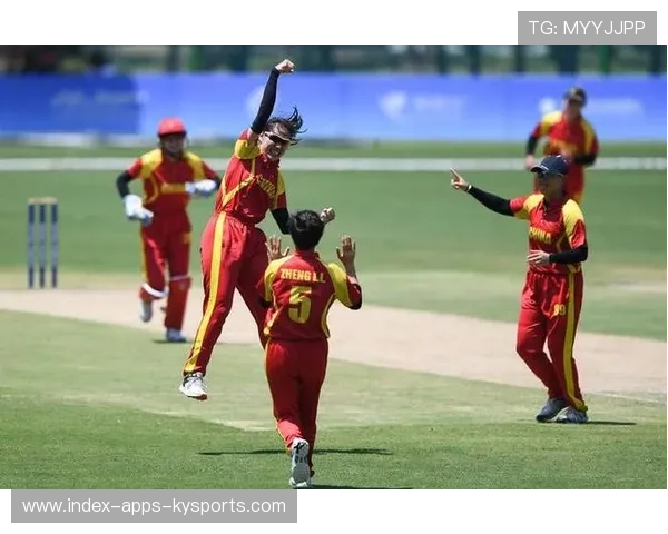 板球投手强势封锁对手得分链